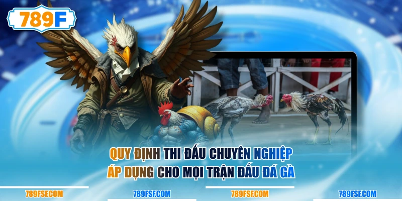 Quy định thi đấu chuyên nghiệp áp dụng cho mọi trận đấu đá gà